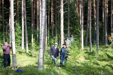 Nyhetsbild