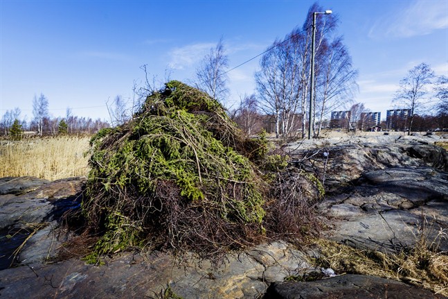 Nyhetsbild