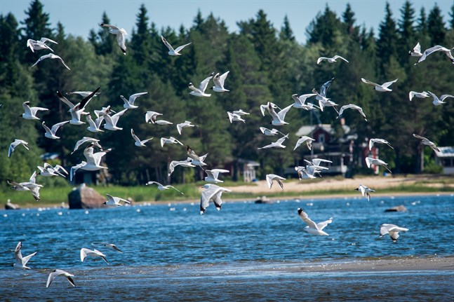 Nyhetsbild