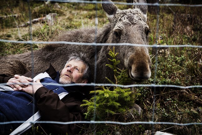 Meditation. När Mervis adoptivpappa Markku Harju lägger sig ned för att vila blir hon lugn.