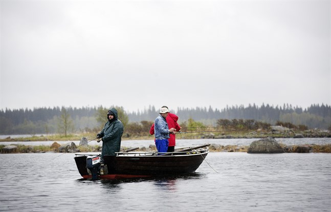 Tre lettländska turister är på besök i världsarvet för att fiska gädda. Just gäddor finns det gott om i vattnen runt Björkö, säger fiskeguiden Jukka Viita-aho.