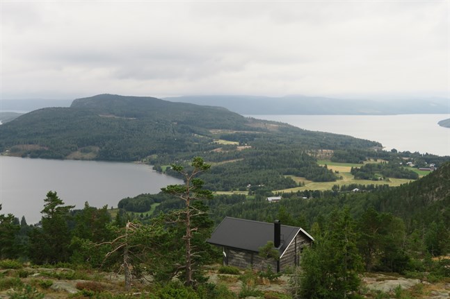 Nyhetsbild