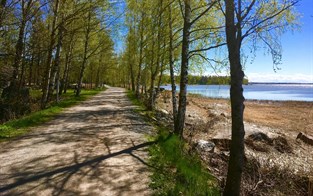 Nyhetsbild